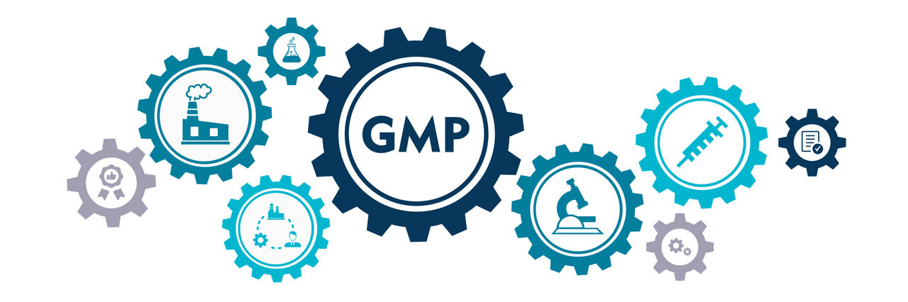 Quality Assurance Services